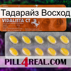 Тадарайз Восход 42